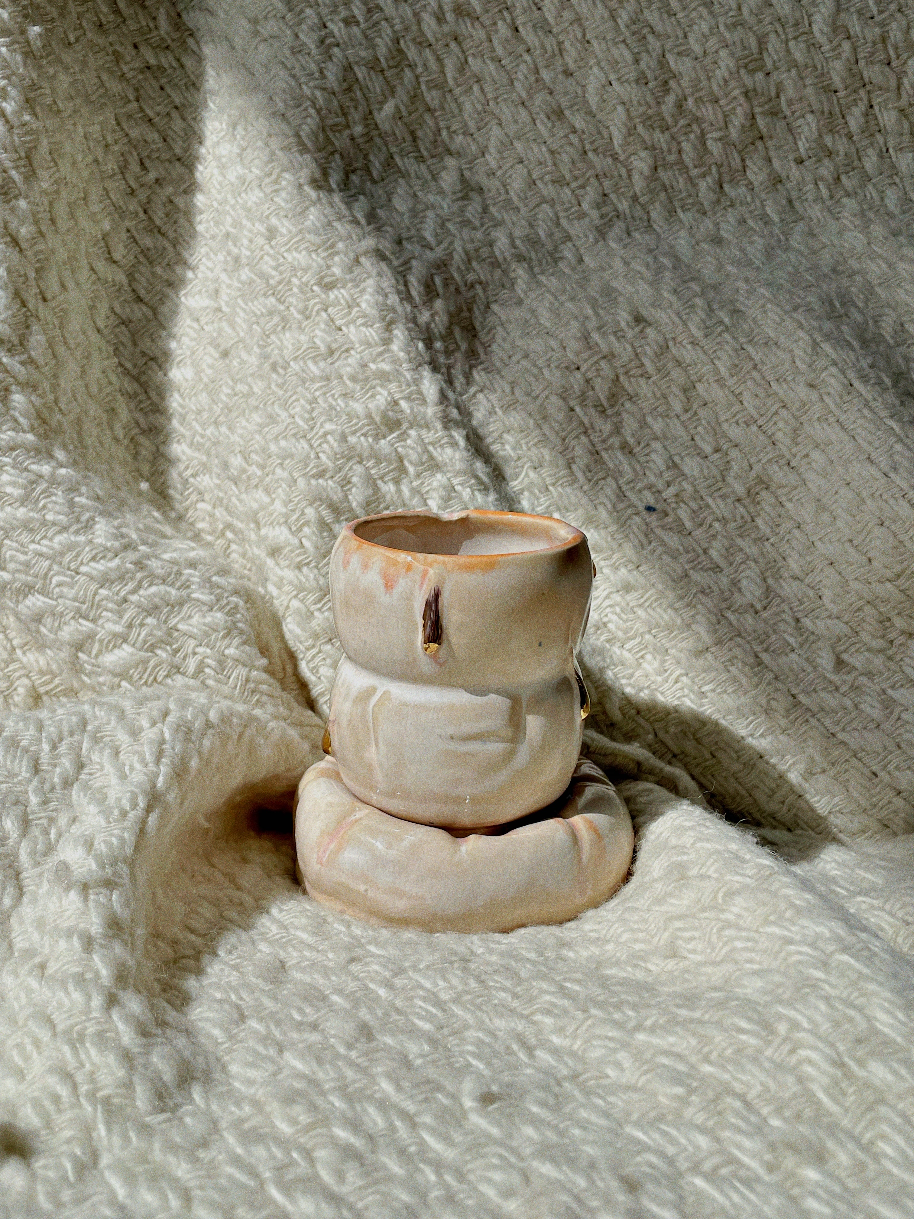 Wet Puffer Jacket Set