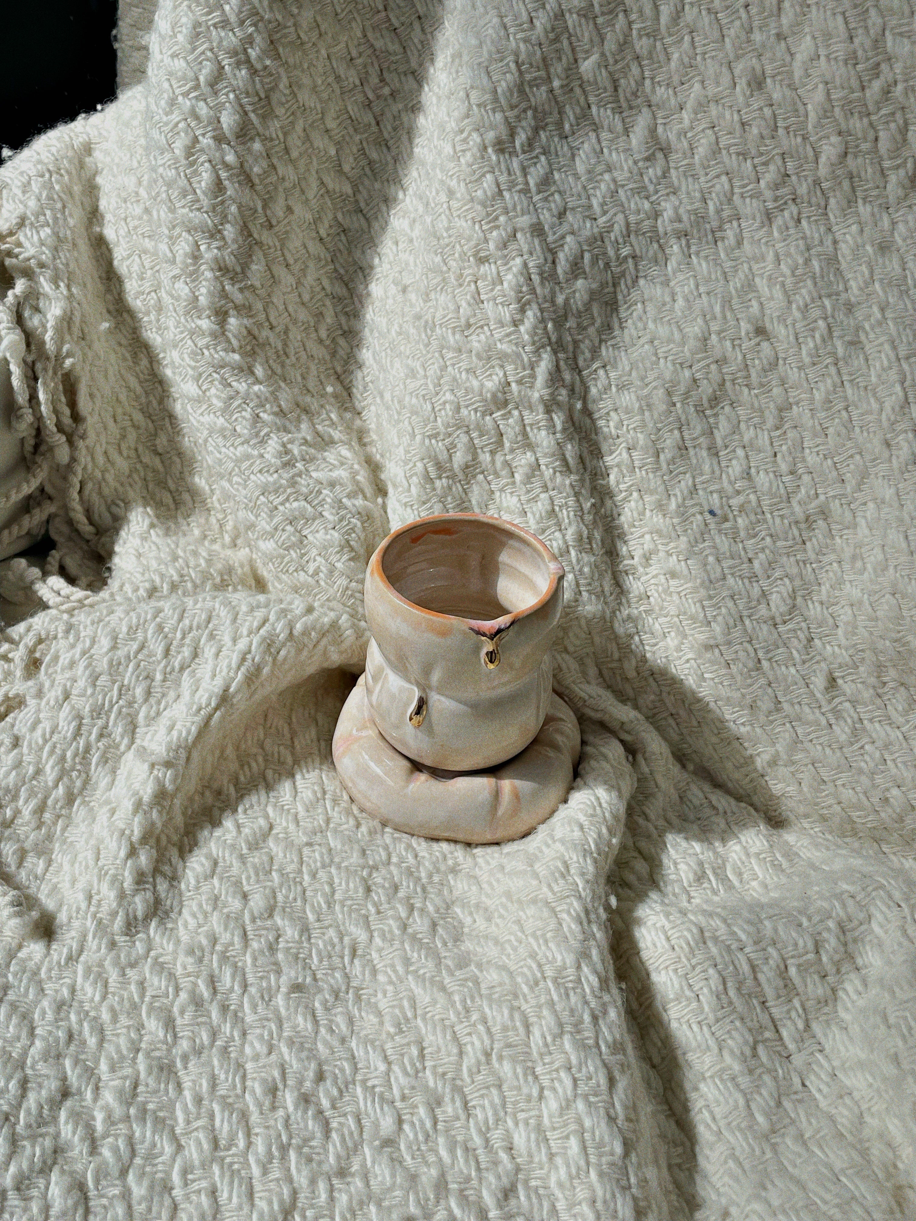 Wet Puffer Jacket Set