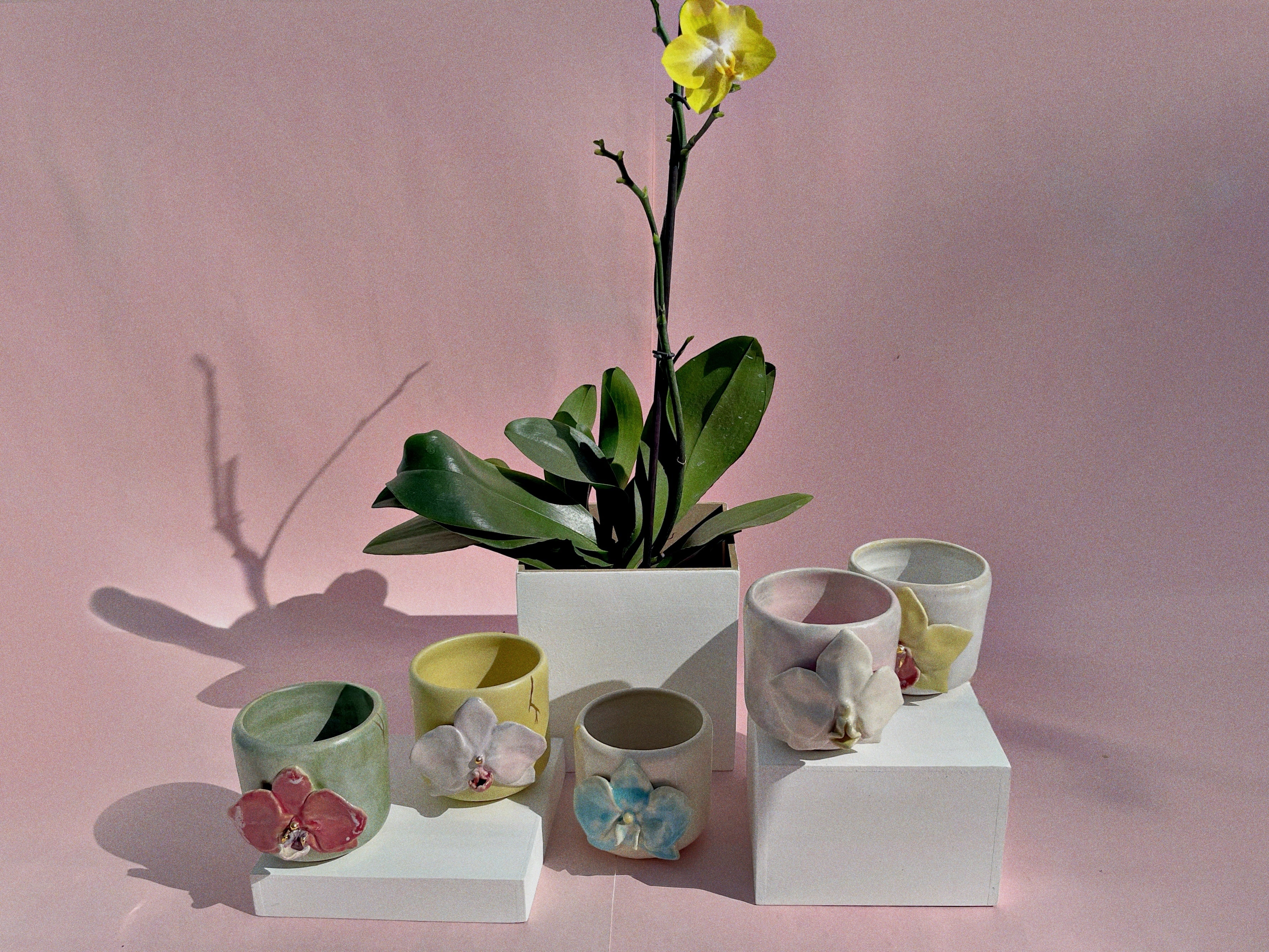 A set of six pastel-colored ceramic planters shaped like orchids, displayed on white pedestals against a soft pink background with a potted yellow orchid in the center.